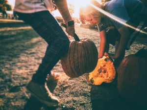 Fall Activities for the Whole Family